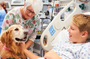 monitor-terapia-asistida-perros